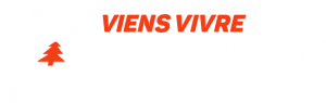 logo_vvf_blanc