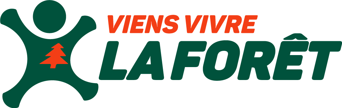 Logo_VVF_V2016
